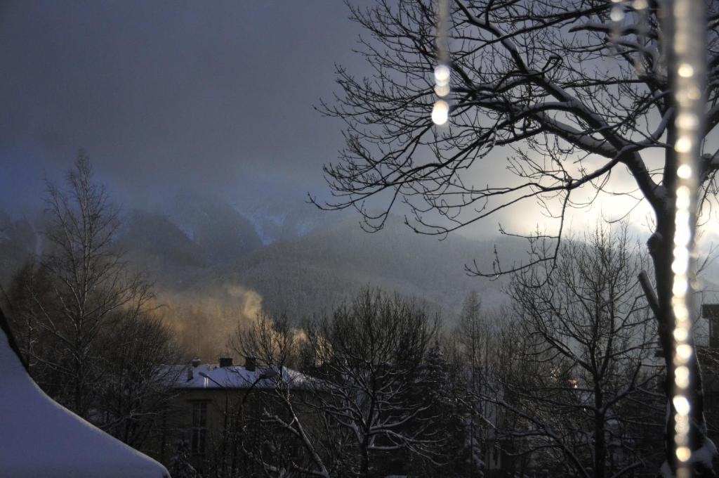 Willa Zlocien Zakopane Cameră foto