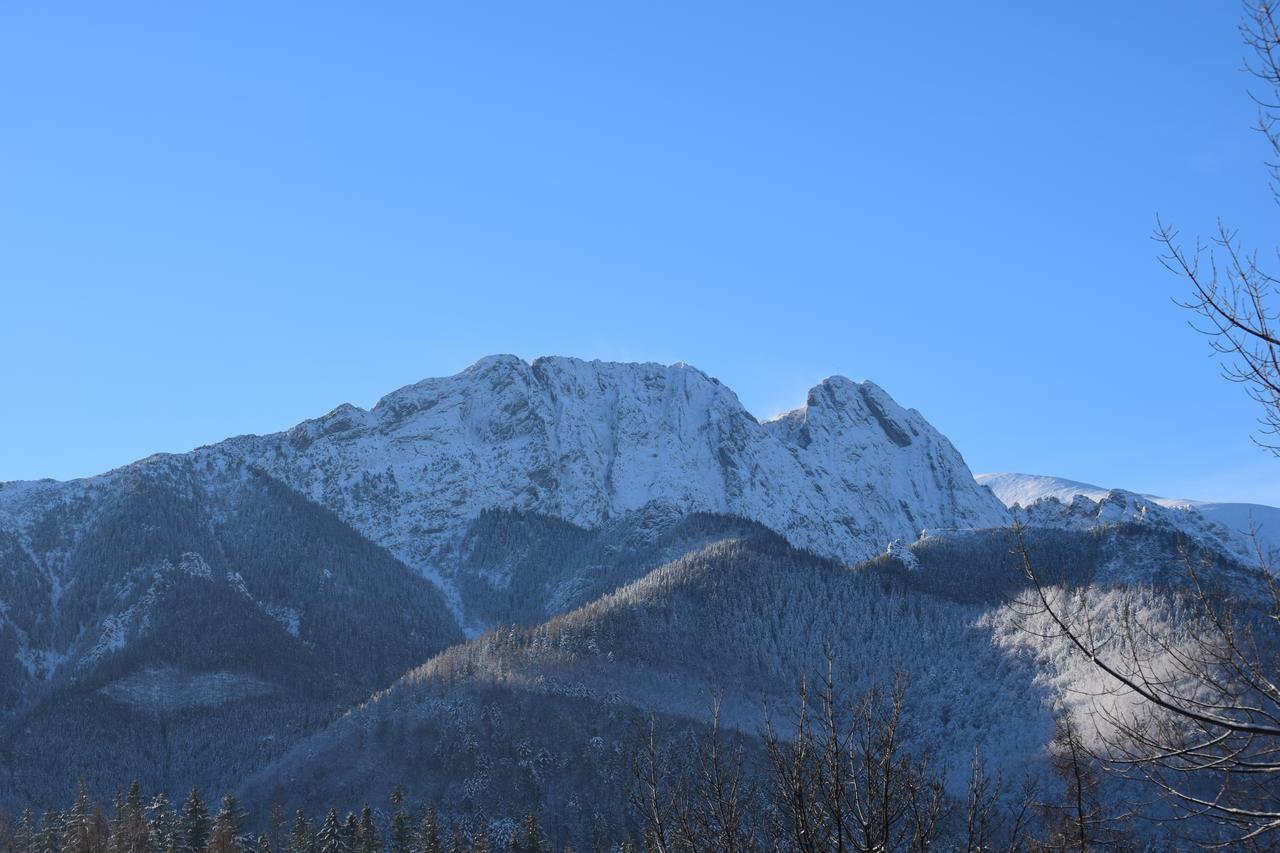Willa Zlocien Zakopane Exterior foto